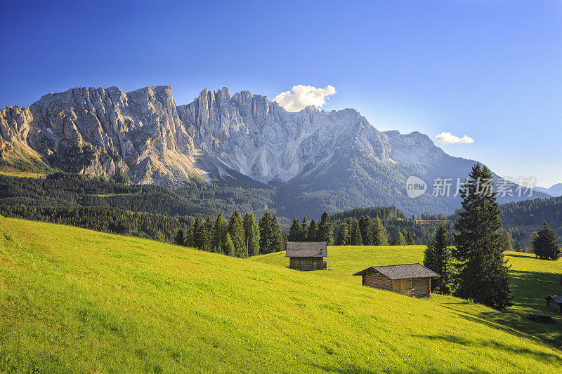 意大利Dolomites, Latemar山脉前的草地